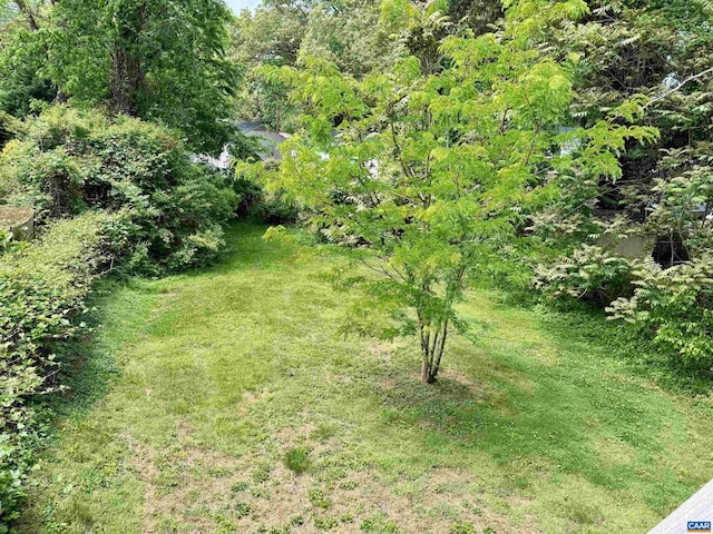 239 Shamrock Rd, Charlottesville, VA 22903 - view of yard