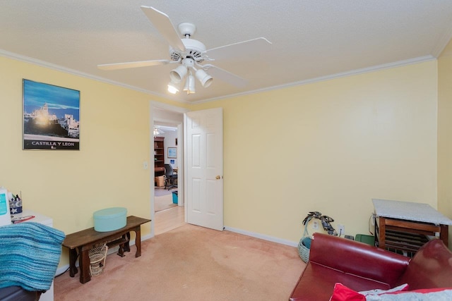 1112 Sharpes Dr, Harrisonburg, VA 22801 - photo 42