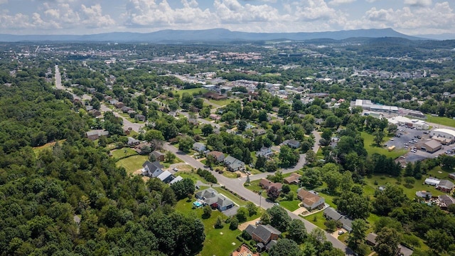 1112 Sharpes Dr, Harrisonburg, VA 22801 - photo 71
