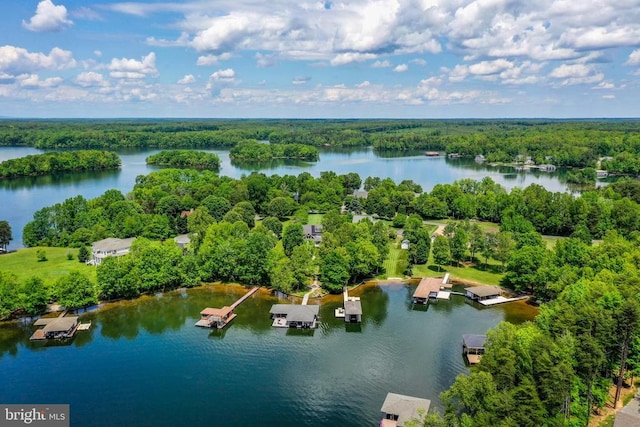 12400 Eustace Dr, Bumpass, VA 23024 - drone / aerial view of a forest and a large body of water