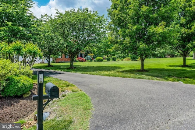 12400 Eustace Dr, Bumpass, VA 23024 - view of asphalt road