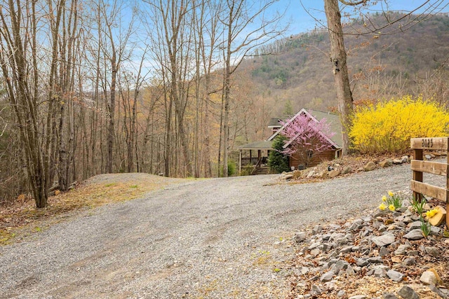 2025 Cutbank Ln, Elkton, VA 22827 - photo 3