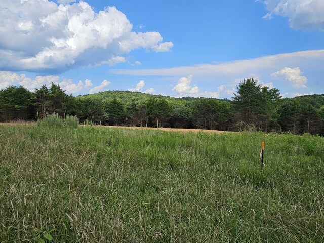 3CROWNRIDGE Berry Farm Rd, Staunton, VA 24401 - photo 15