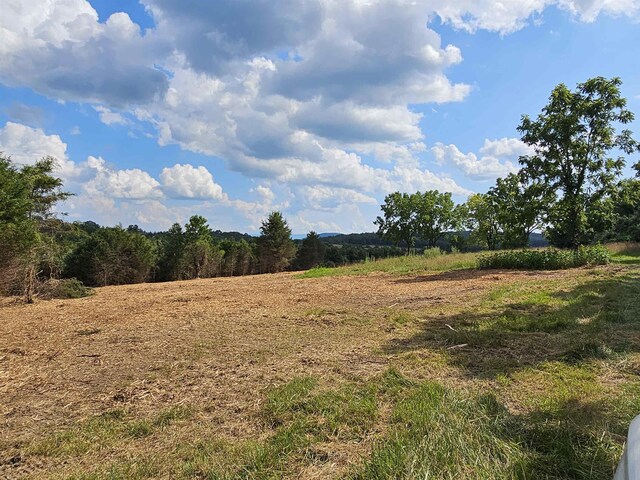 3CROWNRIDGE Berry Farm Rd, Staunton, VA 24401 - photo 27