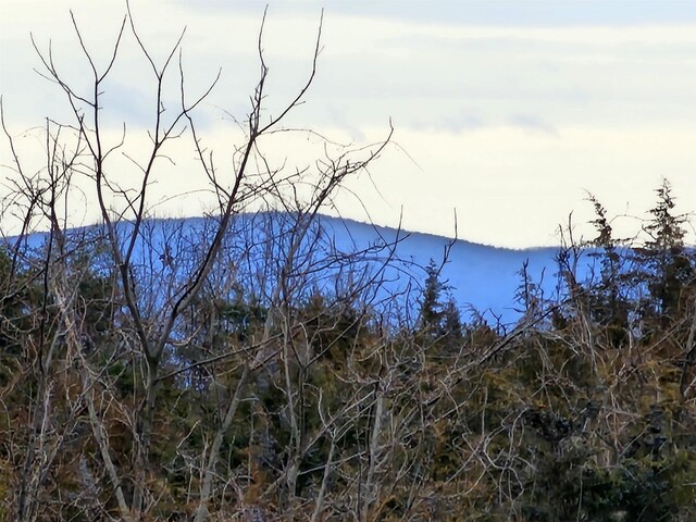3CROWNRIDGE Berry Farm Rd, Staunton, VA 24401 - photo 3