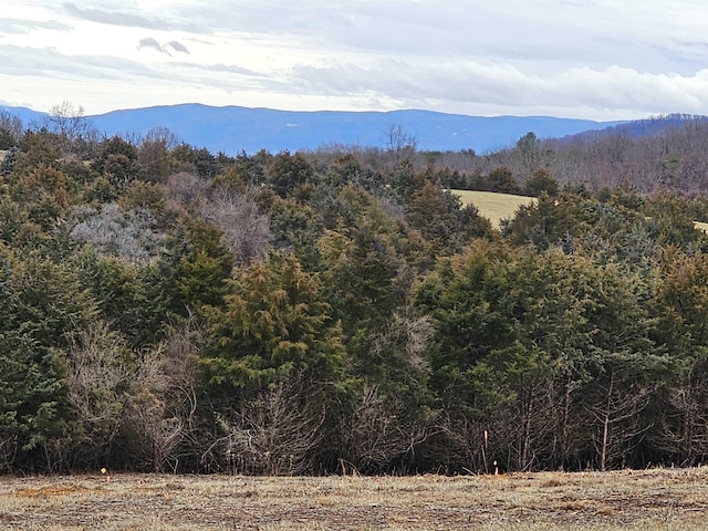 3CROWNRIDGE Berry Farm Rd, Staunton, VA 24401 - photo 2