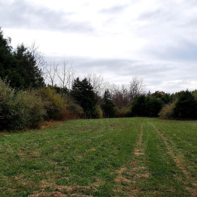 3CROWNRIDGE Berry Farm Rd, Staunton, VA 24401 - photo 12
