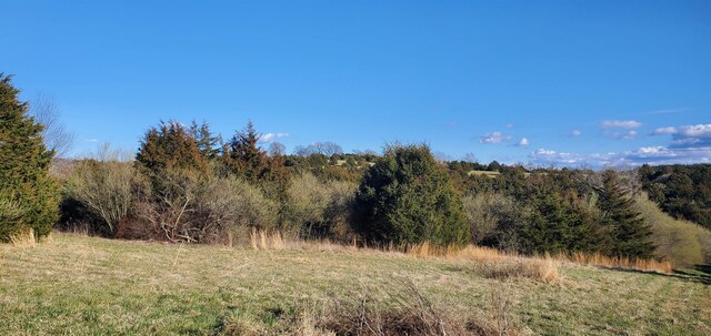 3CROWNRIDGE Berry Farm Rd, Staunton, VA 24401 - photo 22