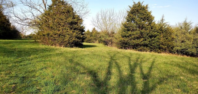 3CROWNRIDGE Berry Farm Rd, Staunton, VA 24401 - photo 18