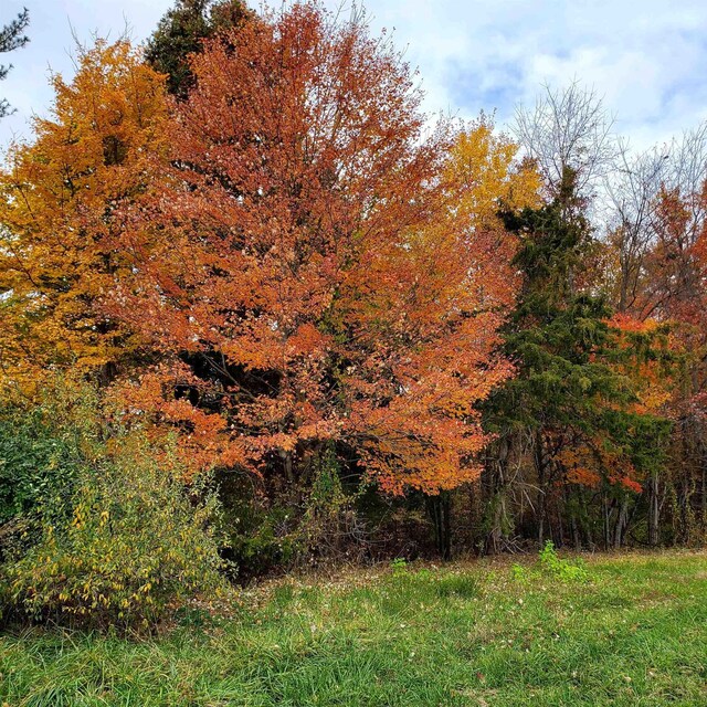 3CROWNRIDGE Berry Farm Rd, Staunton, VA 24401 - photo 38