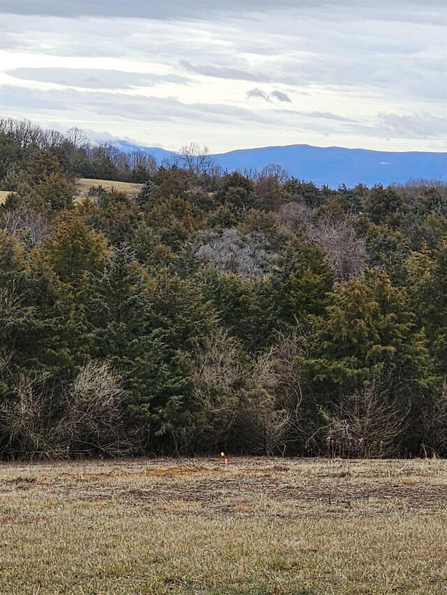 3CROWNRIDGE Berry Farm Rd, Staunton, VA 24401 - photo 16