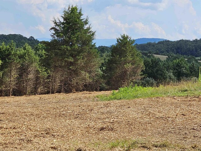 3CROWNRIDGE Berry Farm Rd, Staunton, VA 24401 - photo 4