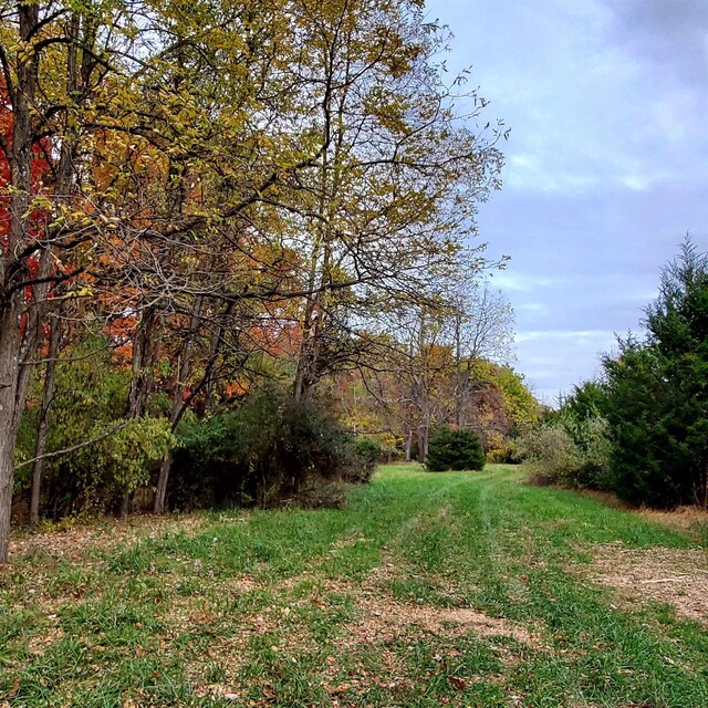 3CROWNRIDGE Berry Farm Rd, Staunton, VA 24401 - photo 17