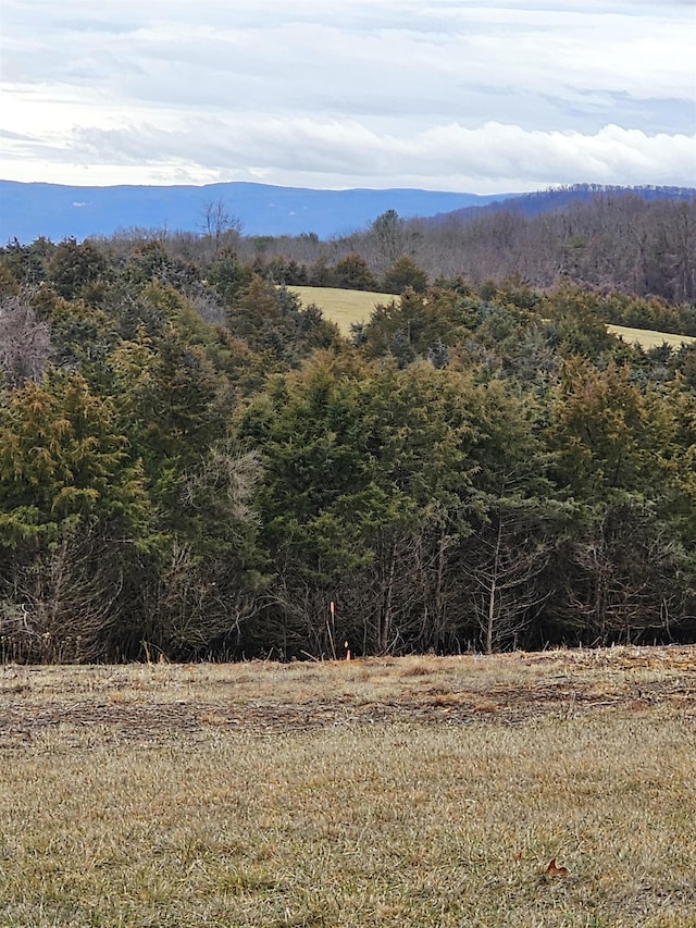 3CROWNRIDGE Berry Farm Rd, Staunton, VA 24401 - photo 7