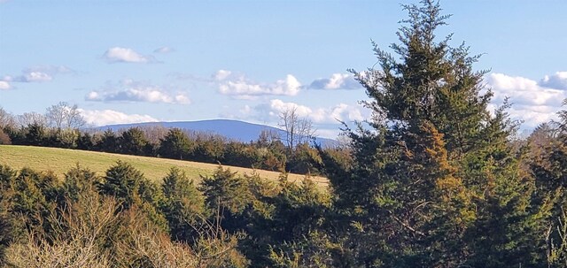 3CROWNRIDGE Berry Farm Rd, Staunton, VA 24401 - photo 5