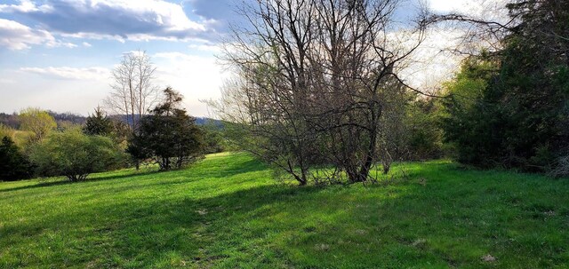 3CROWNRIDGE Berry Farm Rd, Staunton, VA 24401 - photo 10