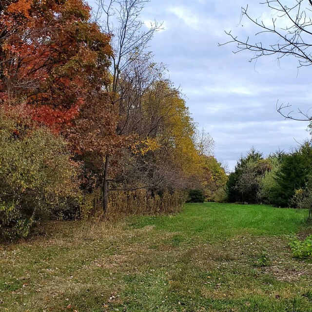 3CROWNRIDGE Berry Farm Rd, Staunton, VA 24401 - photo 43