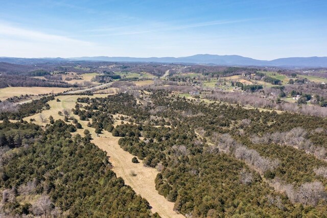 3CROWNRIDGE Berry Farm Rd, Staunton, VA 24401 - photo 30