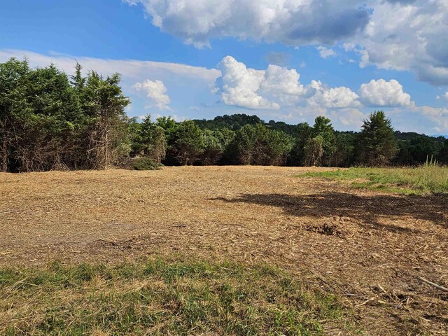 3CROWNRIDGE Berry Farm Rd, Staunton, VA 24401 - photo 31