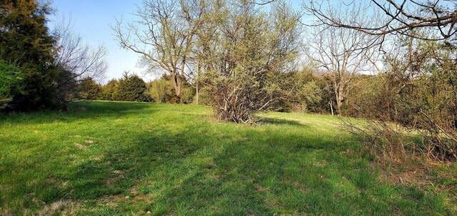 3CROWNRIDGE Berry Farm Rd, Staunton, VA 24401 - photo 11