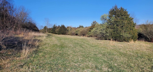 3CROWNRIDGE Berry Farm Rd, Staunton, VA 24401 - photo 14