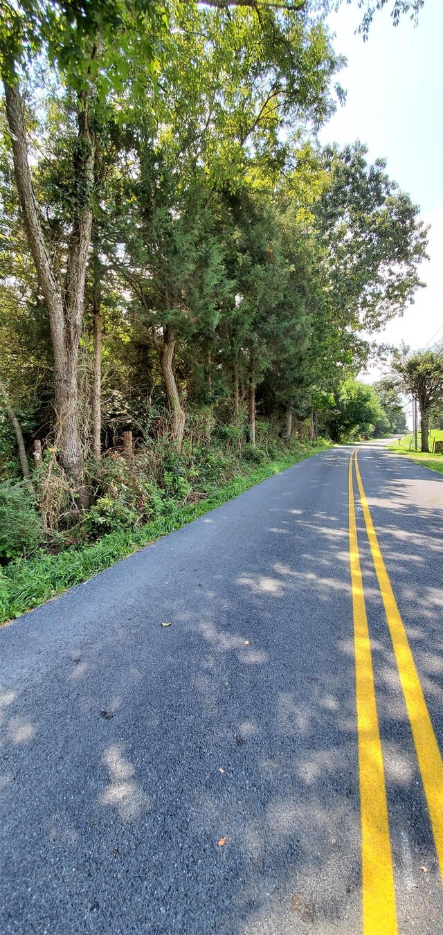 3CROWNRIDGE Berry Farm Rd, Staunton, VA 24401 - photo 45
