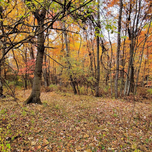 3CROWNRIDGE Berry Farm Rd, Staunton, VA 24401 - photo 42