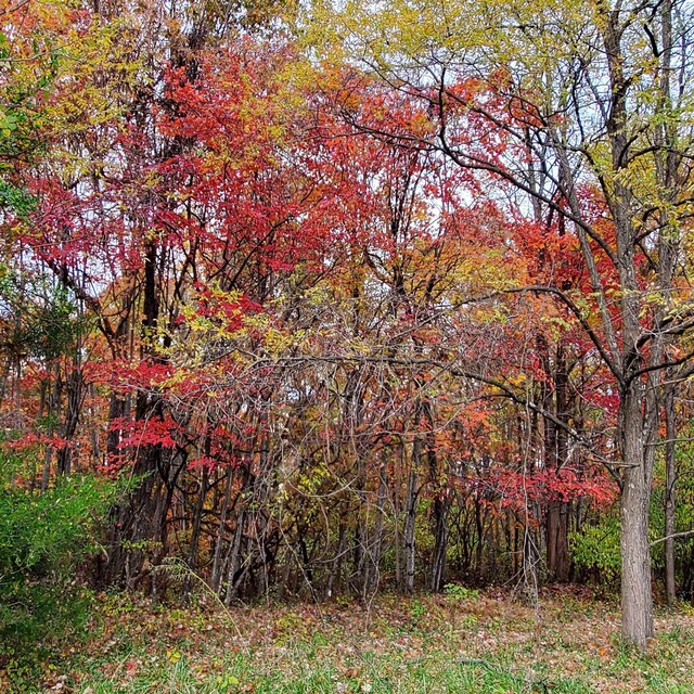 3CROWNRIDGE Berry Farm Rd, Staunton, VA 24401 - photo 40