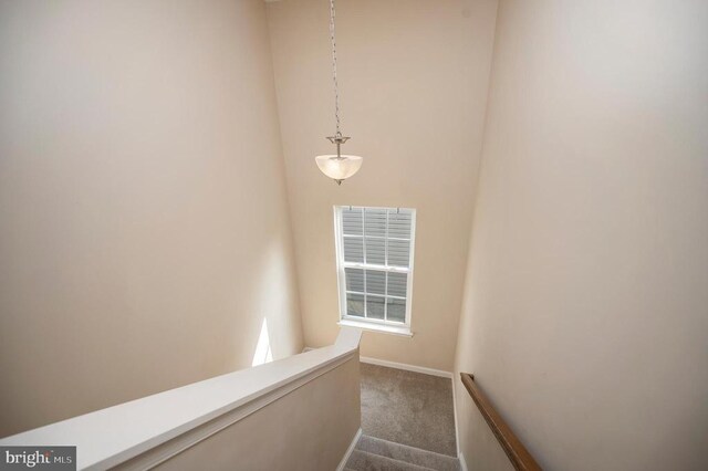  - stairway with carpet floors and baseboards