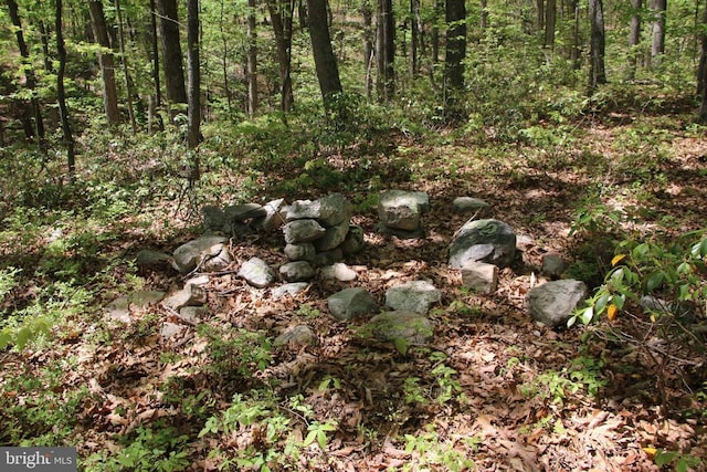 N Egypt Bend Rd, Luray, VA 22835
