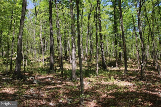 N Egypt Bend Rd, Luray, VA 22835