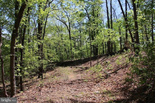 N Egypt Bend Rd, Luray, VA 22835