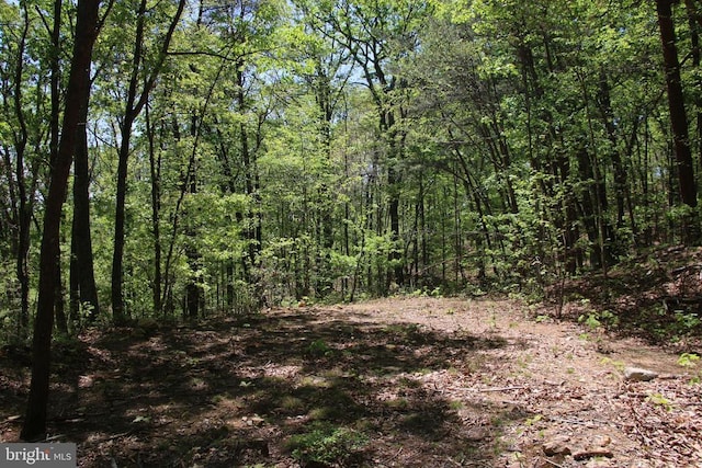 N Egypt Bend Rd, Luray, VA 22835