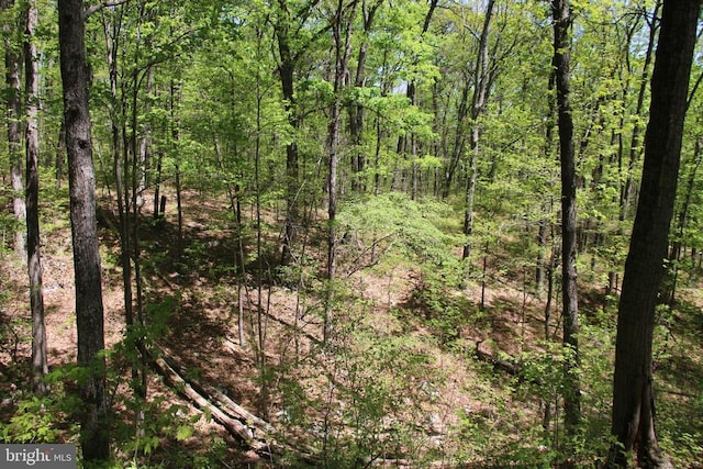 N Egypt Bend Rd, Luray, VA 22835