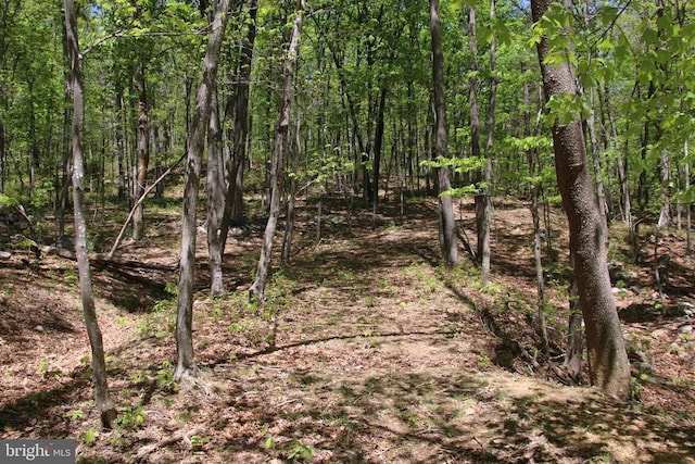 N Egypt Bend Rd, Luray, VA 22835