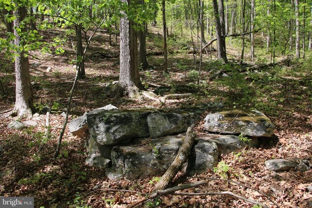 N Egypt Bend Rd, Luray, VA 22835