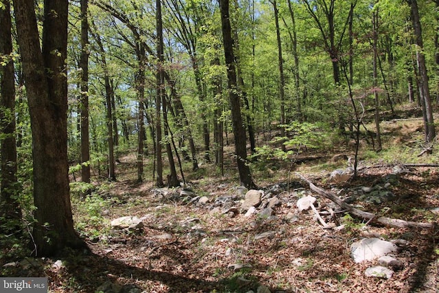 N Egypt Bend Rd, Luray, VA 22835