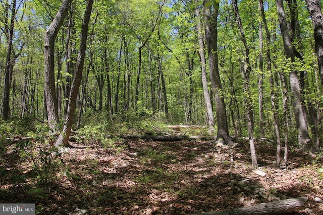N Egypt Bend Rd, Luray, VA 22835