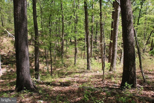N Egypt Bend Rd, Luray, VA 22835