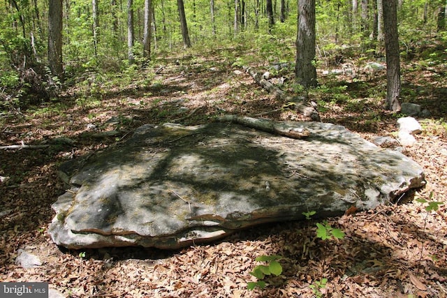 N Egypt Bend Rd, Luray, VA 22835