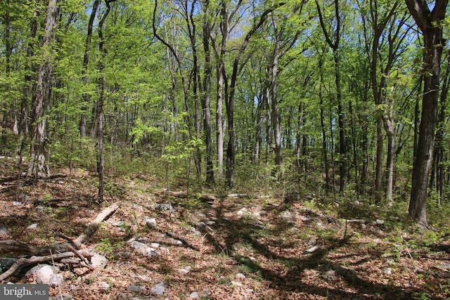 N Egypt Bend Rd, Luray, VA 22835