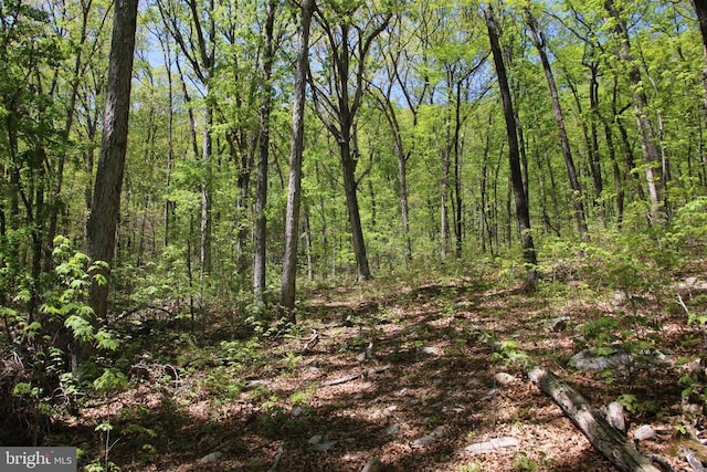 N Egypt Bend Rd, Luray, VA 22835