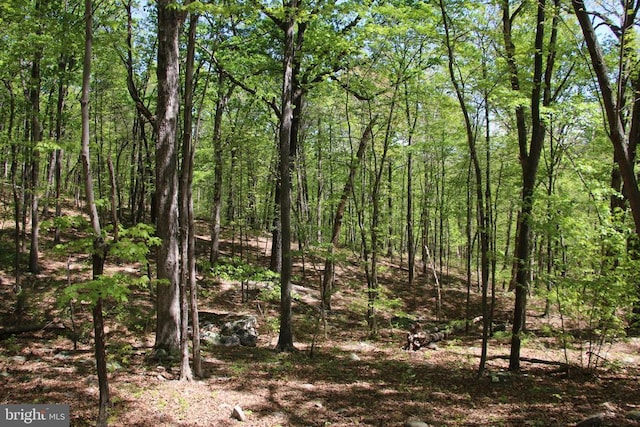 N Egypt Bend Rd, Luray, VA 22835