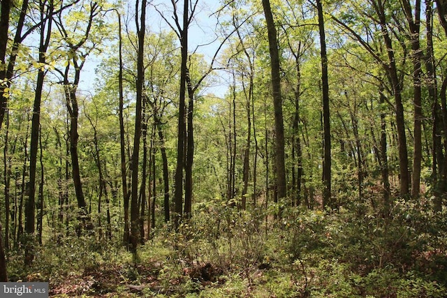 N Egypt Bend Rd, Luray, VA 22835