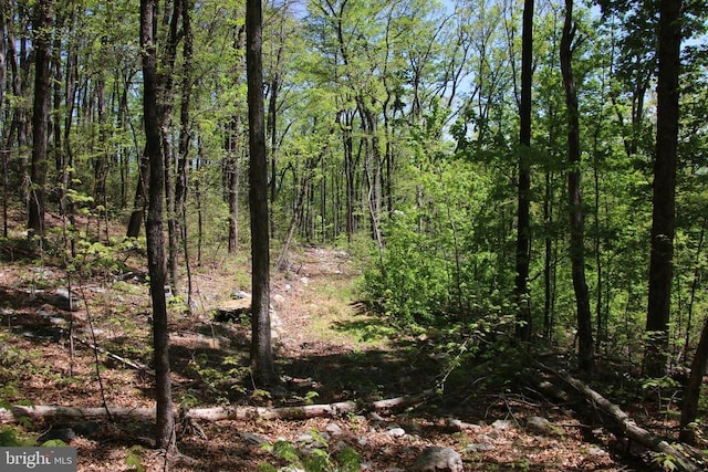 N Egypt Bend Rd, Luray, VA 22835