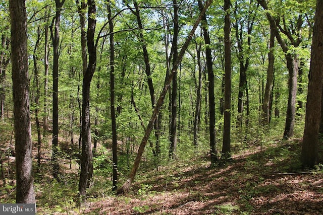 N Egypt Bend Rd, Luray, VA 22835