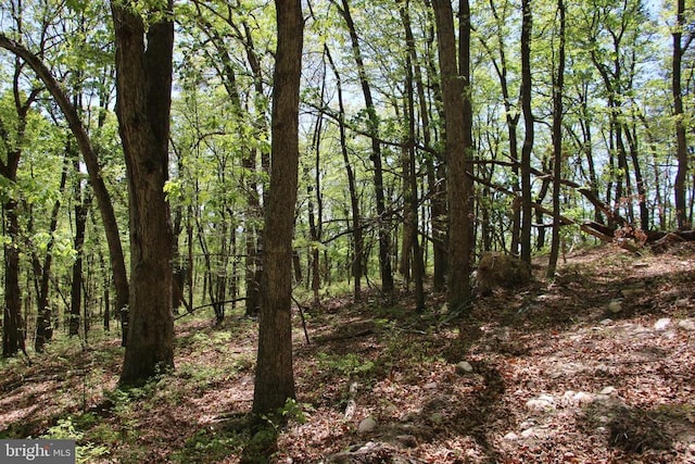 N Egypt Bend Rd, Luray, VA 22835