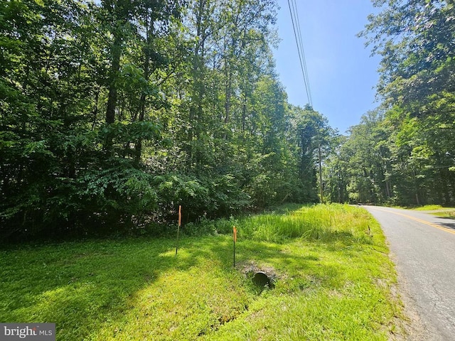 Jacks Shop Rd, Rochelle, VA 22738