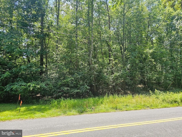 Jacks Shop Rd, Rochelle, VA 22738