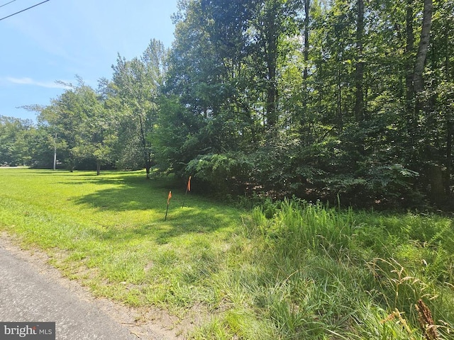Jacks Shop Rd, Rochelle, VA 22738